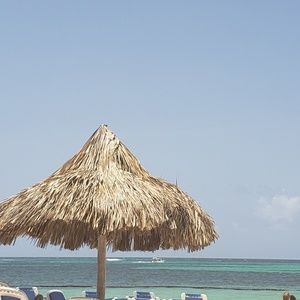 Meet your Posher, Rene